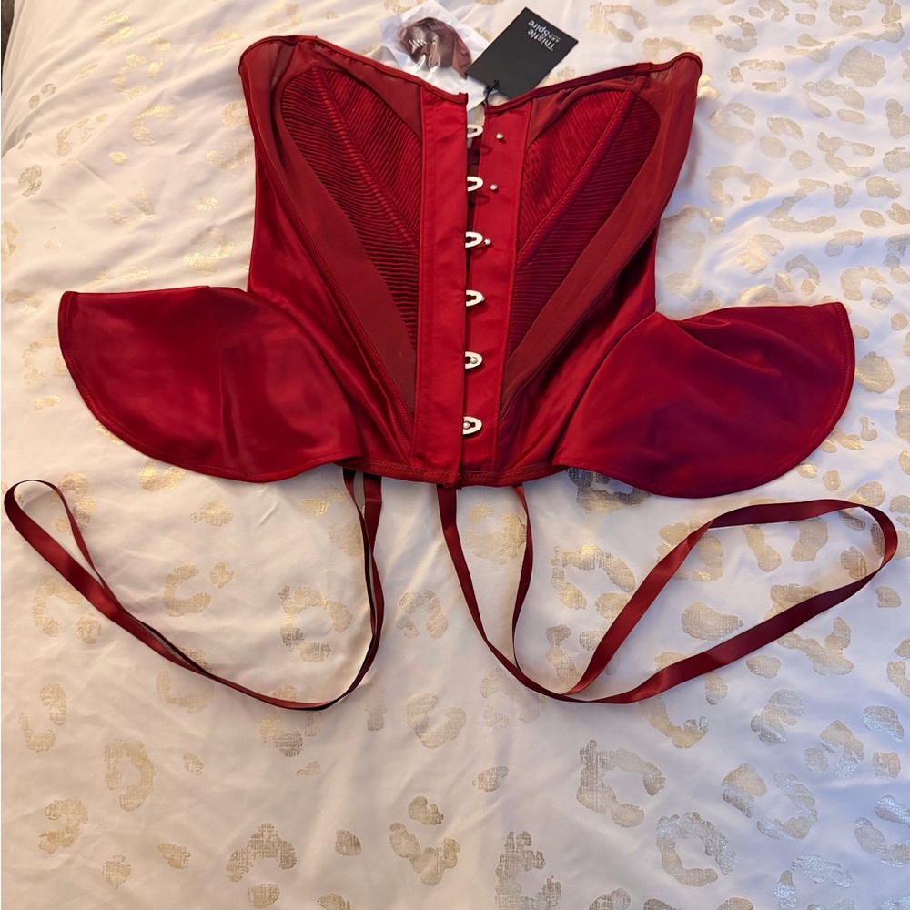 Thistle and Spire Burgundy Satin Corset - Picture 3 of 6